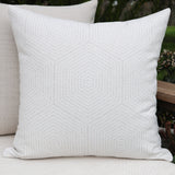 Sea Urchin Outdoor Pillow Cover