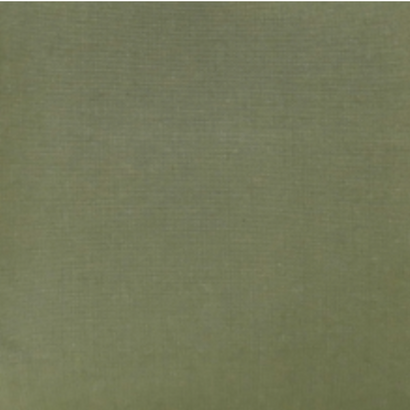 Canvas Green Fabric