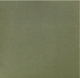 Canvas Green Fabric