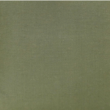 Canvas Green Fabric